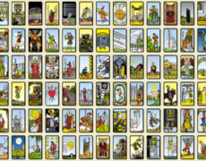 Tarot Training